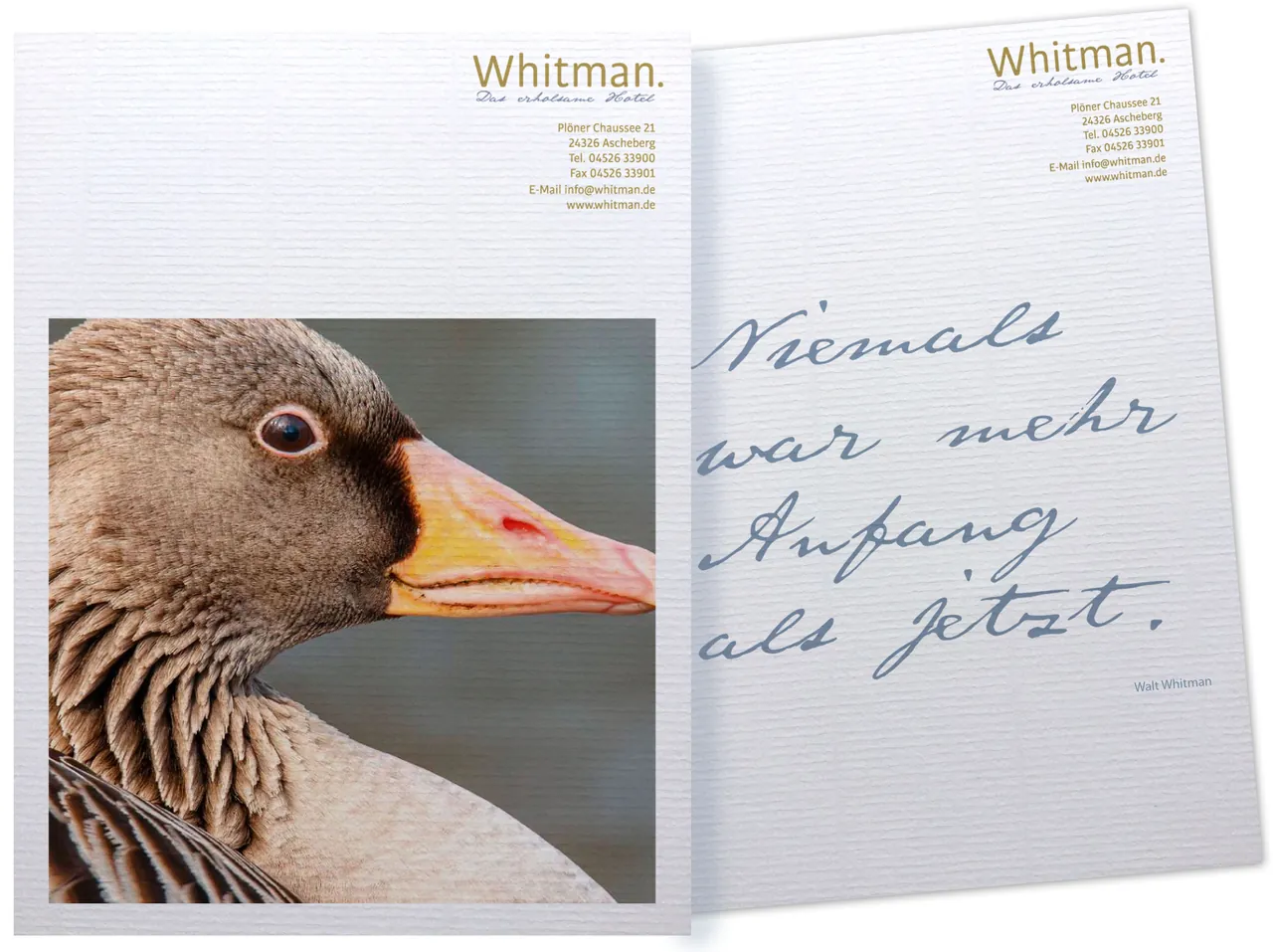 Titelseite einer Hotelbroschüre mit Graugans und Schreibschrift Niemals war mehr Anfang als jetzt