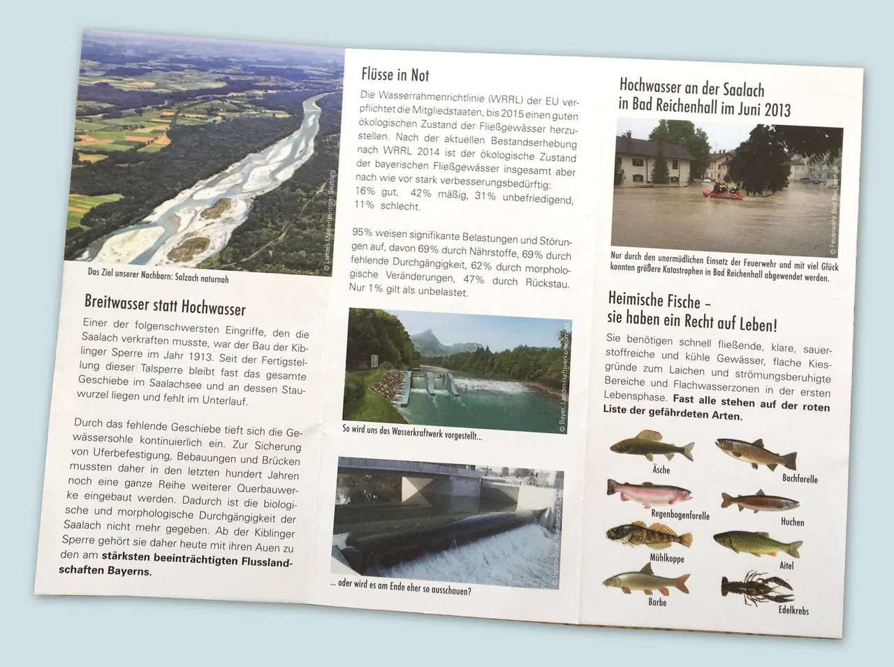 Innenseiten des Flyers mit Fotos von Hochwasser und Fischen