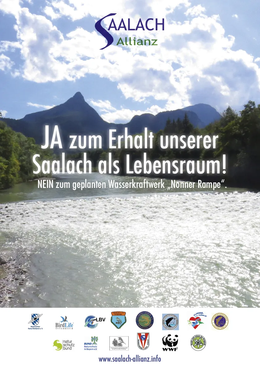Poster Ja zum Erhalt unserer Saalach als Lebensraum, Nein zum geplanten Wasserkraftwerk